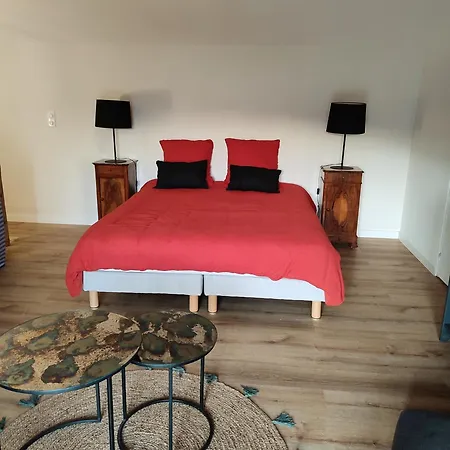 1881 Ampuis, La Chambre Apartment *